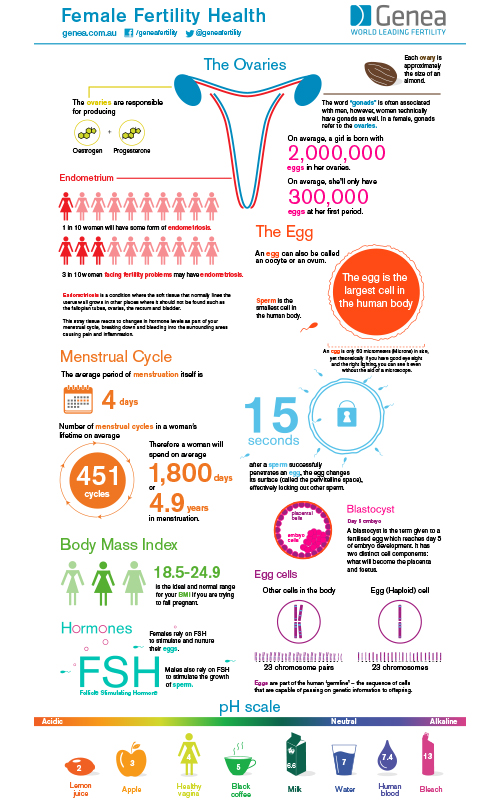 Genea Female Fertility Infographic